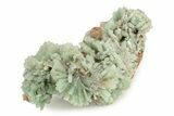 Sea-Foam Green Barite Crystal Cluster - Congo #241828-2